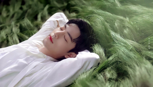 Обои картинки фото мужчины, xiao zhan, актер, рубашка, трава