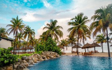 обоя интерьер, бассейны,  открытые площадки, бассейн, тропики, пальмы