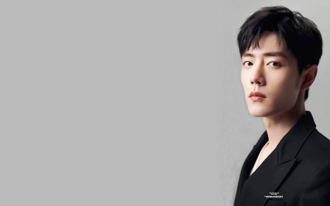 Обои картинки фото мужчины, xiao zhan, актер, лицо, пиджак