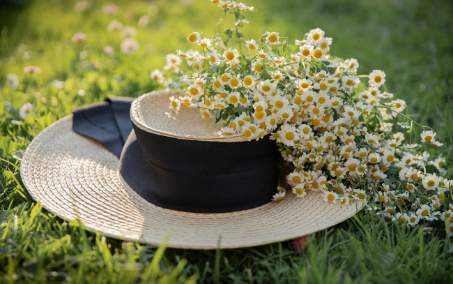 Обои картинки фото разное, одежда,  обувь,  текстиль,  экипировка, трава, ромашки, шляпа