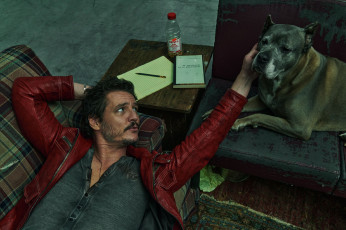 Картинка мужчины pedro+pascal хосе педро бальмаседа паскаль актер мужчина знаменитости