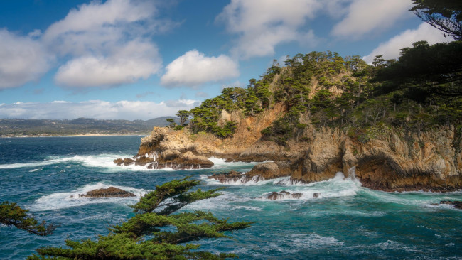 Обои картинки фото cypress cove at point lobos, california, природа, побережье, cypress, cove, at, point, lobos