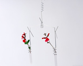 Картинка цветы