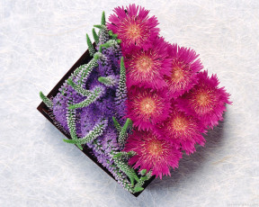 Картинка цветы букеты композиции