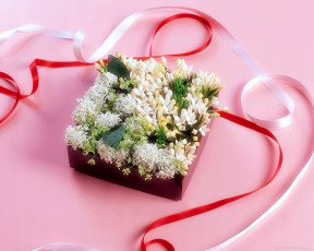 Картинка цветы букеты композиции