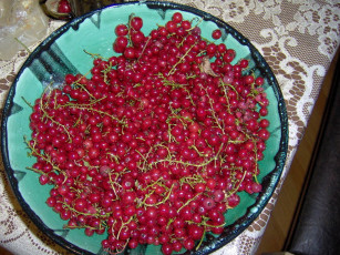 Картинка еда смородина