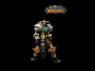 Картинка видео игры world of warcraft