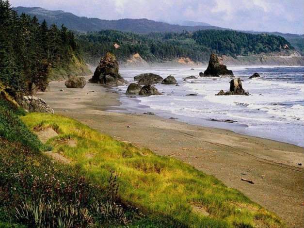 Обои картинки фото 