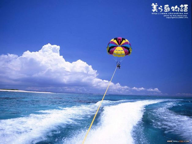 Обои картинки фото 