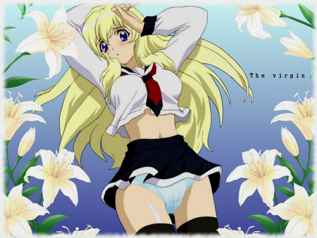 Обои картинки фото аниме, girls, bravo