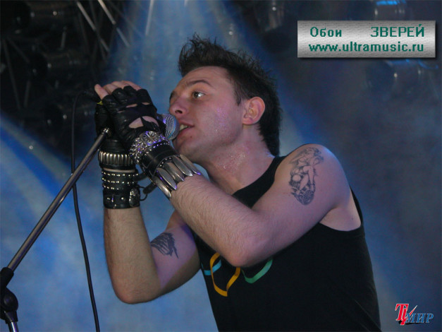 Обои картинки фото рома, зверь, музыка, звери