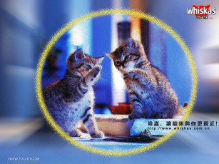 Картинка бренды whiskas