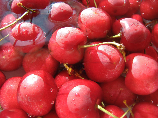 Обои картинки фото еда, вишня, черешня
