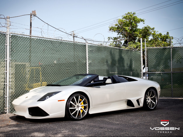 Обои картинки фото автомобили, lamborghini