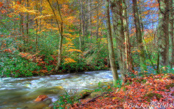 Картинка природа реки озера