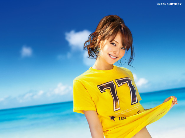 Обои картинки фото бренды, suntory