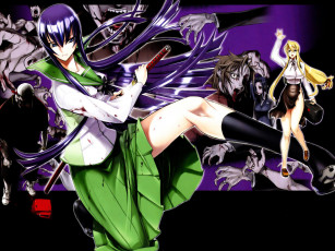 Картинка аниме highschool of the dead