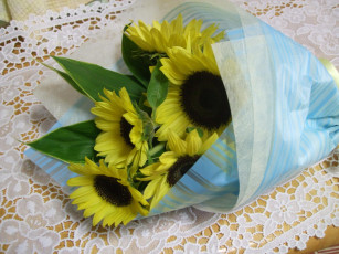 Картинка цветы подсолнухи