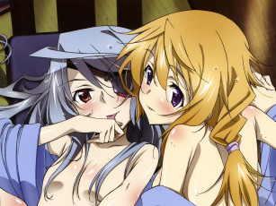 Картинка infinite stratos аниме