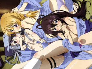 Картинка infinite stratos аниме