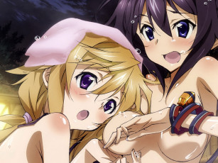 Картинка infinite stratos аниме