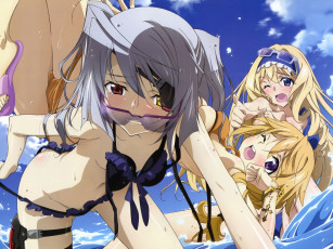 Картинка infinite stratos аниме