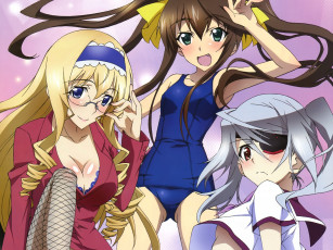 Картинка infinite stratos аниме