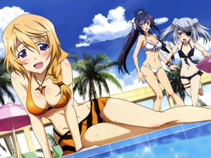 Картинка infinite stratos аниме