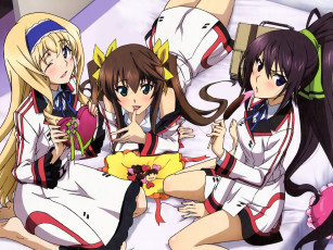 Картинка infinite stratos аниме