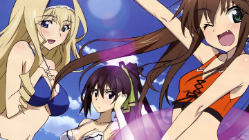Картинка infinite stratos аниме
