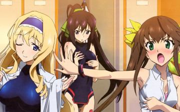 Картинка infinite stratos аниме