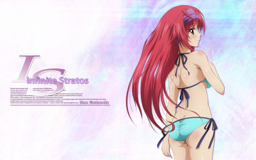 Картинка infinite stratos аниме