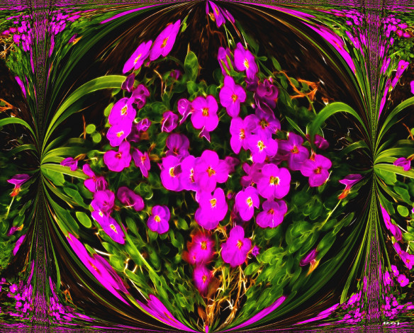 Обои картинки фото 3д, графика, flowers, цветы