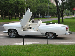 Картинка автомобили выставки уличные фото volga