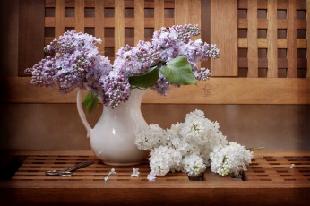 Картинка цветы сирень ваза букет