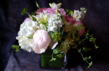 Картинка цветы букеты композиции пионы левкой гортензия