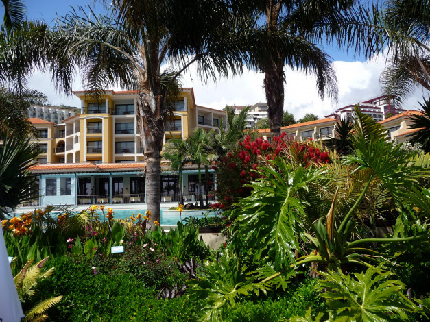 Обои картинки фото португалия, madeira, фуншал, города, улицы, площади, набережные, зона, отдыха, гостиница, бассейн, пальмы