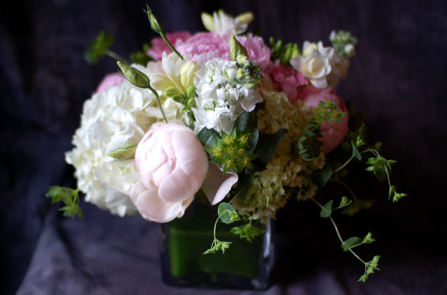 Обои картинки фото цветы, букеты, композиции, пионы, левкой, гортензия
