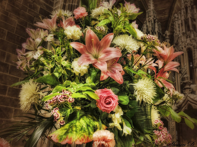 Обои картинки фото цветы, букеты, композиции, розы, гвоздики, хризантемы