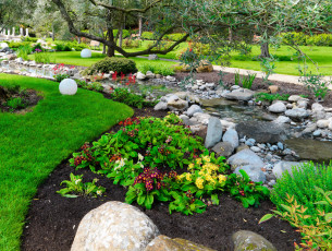 Картинка природа парк цветы камни ручей