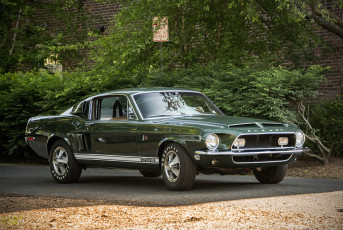 Картинка ford+mustang+gt500+kr автомобили mustang автопробег выставка автошоу