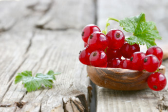 Картинка еда смородина красная