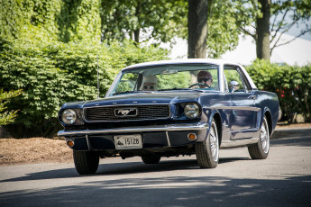 Картинка ford+mustang автомобили mustang автошоу автопробег выставка