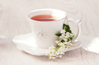 Картинка еда напитки +Чай чашка