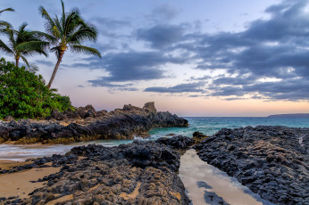 Картинка природа тропики горизонт пальмы океан рифы