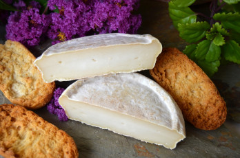 Картинка еда сырные+изделия сыр