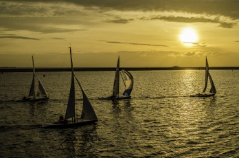 обоя спорт, парусный спорт, озеро, паруса, солнце