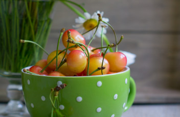 Картинка еда вишня +черешня кружка желтая черешня цветок ромашка