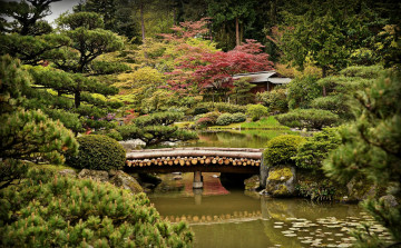 Картинка природа парк мост