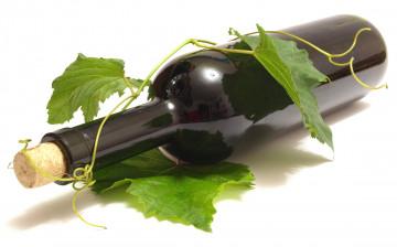 Картинка еда напитки +вино бутылка